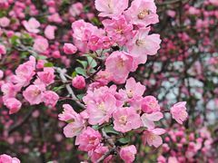 -杭州师范大学(下沙校区)