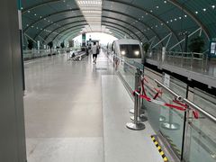 -龙阳路磁悬浮列车总站-停车场