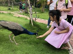 -灵玲国际马戏城