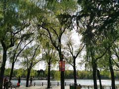 -长春市南湖公园