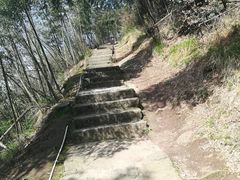 -长沙黑麋峰国家森林公园