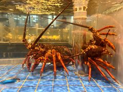-青蓬蒸汽海鲜·深圳老字号·团建聚会(壹方城店)