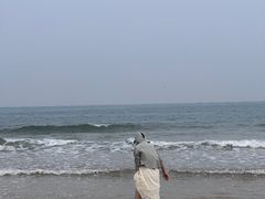 -青岛海滨风景区