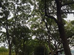 -西湖外事游船(花港观鱼码头)