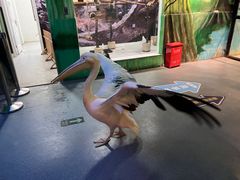 -海合安武汉极地海洋公园