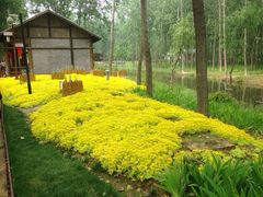 滨湖湿地公园-合肥滨湖国家森林公园