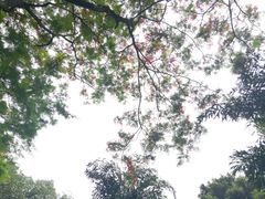 -晓港公园