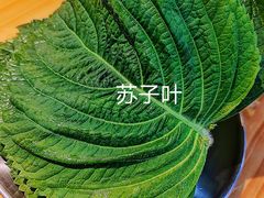 -红辣椒八爪鱼特色韩国料理专门店(远景路旗舰店)