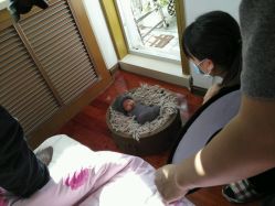 -金麦兜儿童摄影(新星绿城店)