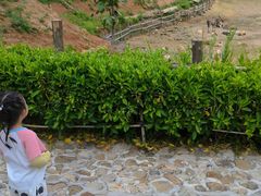 -泉州海丝野生动物世界