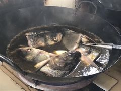 -马村鱼头