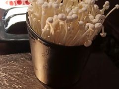 -辣伍鲜毛肚老火锅(元一店)
