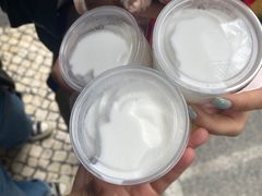 -洪馨椰子