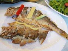 -骏莱海鲜鱼港(五角场店)