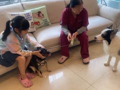 -瑞派申生动物医院·24H夜诊·国际动物医疗中心·骨外科(吴中路店)