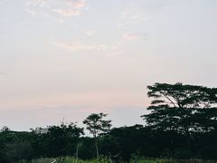 -福田红树林生态公园