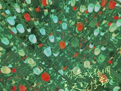 -苏州5D星空错觉艺术馆