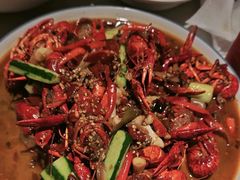 -杨氏青龙虾·羊蝎子(托乐嘉店)