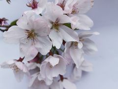 -西北湖绿化广场