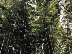 -井空里大峡谷
