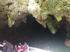 -怀托摩萤火虫洞