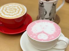 -酷豆宠物咖啡·宠物美食·撸猫馆