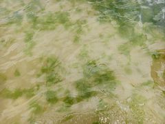 -金海滩海水浴场