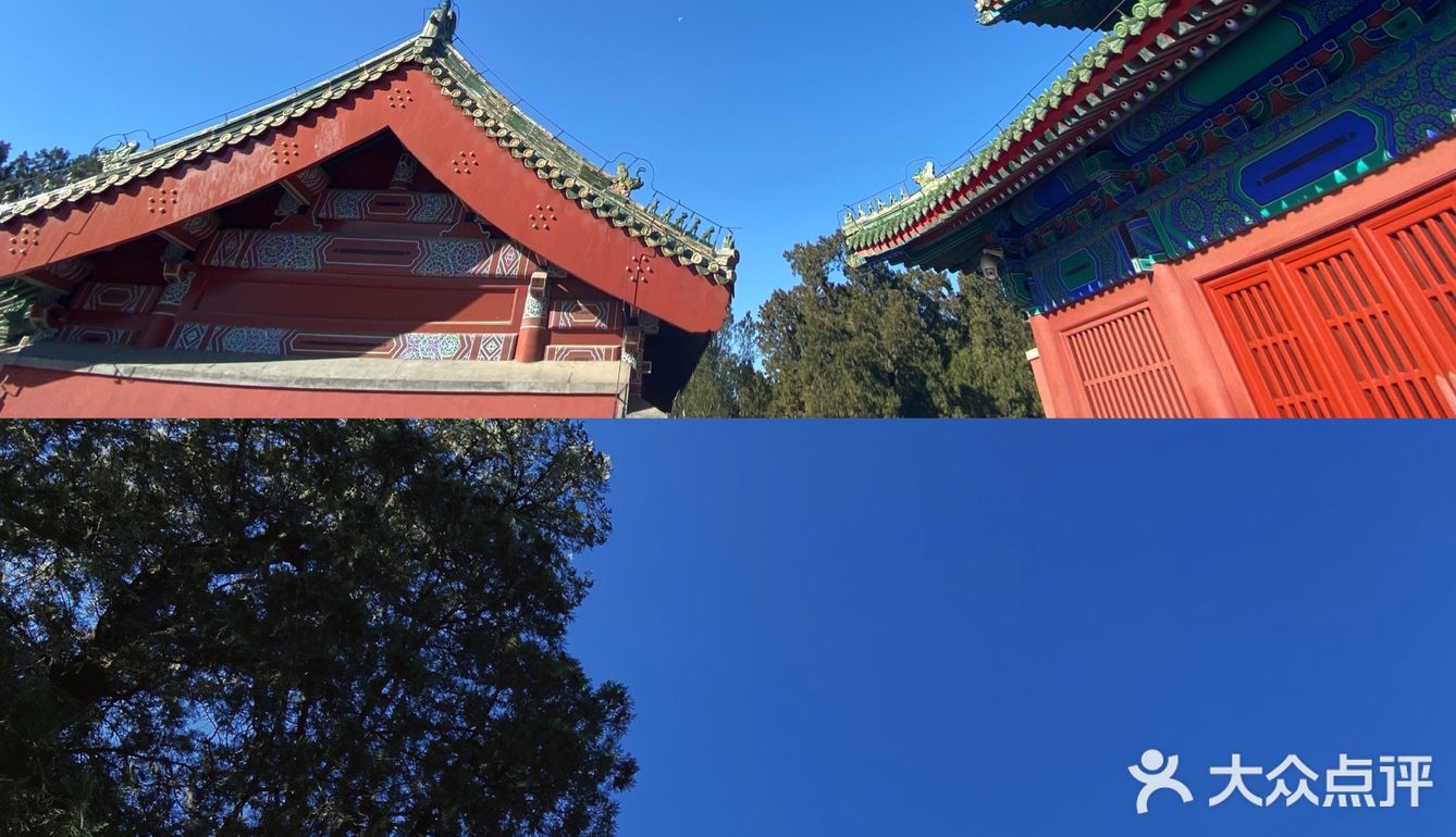 北京旅游攻略｜红墙绿瓦诗意盎然｜天坛公园