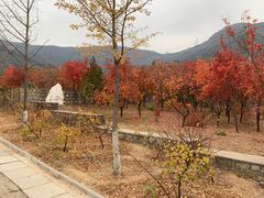 -北京十三陵国家森林公园蟒山景区