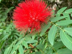 -三亚南山文化旅游区