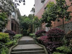 -铁山坪森林公园