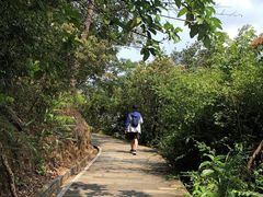-羚羊峡古栈道森林公园