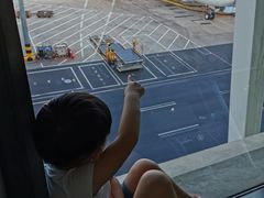 -上海浦东国际机场-T2航站楼