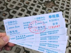 -广东惠东海龟国家级自然保护区