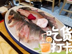 -吃城都·鱼蛙火锅(西玉龙街店)