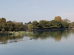 -西湖外事游船(花港观鱼码头)