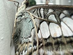 -上海自然博物馆