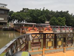 -大湾区中央湿地公园