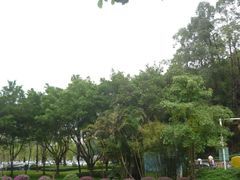 -顺峰山公园