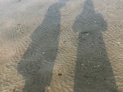 -北海金海湾红树林生态旅游区