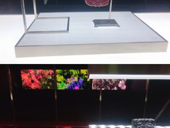 -上海当代艺术博物馆