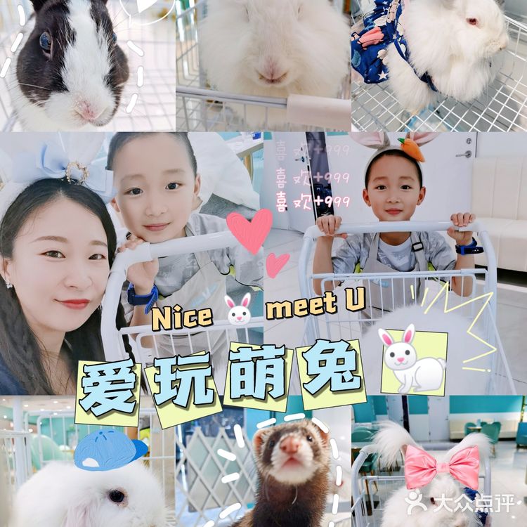 Nice 🐰meet U-魔都遇见萌兔