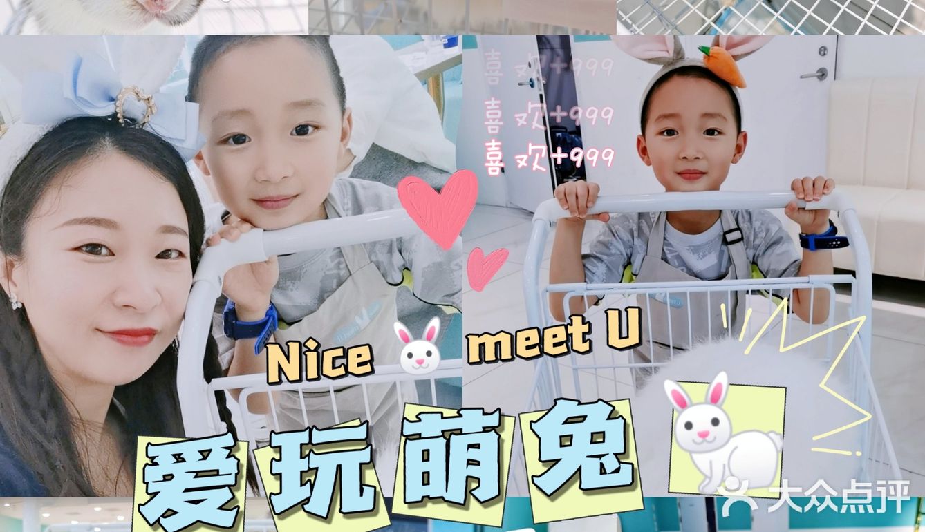 Nice 🐰meet U-魔都遇见萌兔