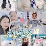 Nice 🐰meet U-魔都遇见萌兔
