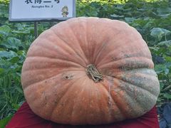 -长春农业博览园
