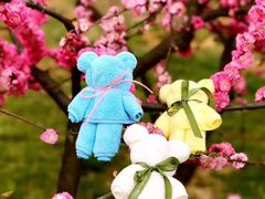 -南汇桃花村