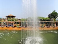 -呀路古热带植物园