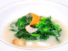-沈灶河豚宴·河豚融合餐厅(汉中路店)