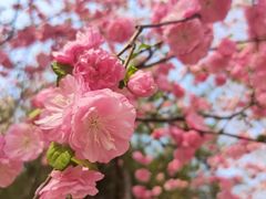 -blt精品超市(北京银座店)