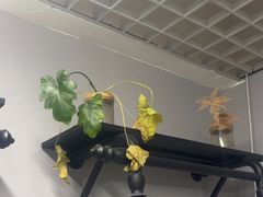 -小象国照相馆(宝山万达店)